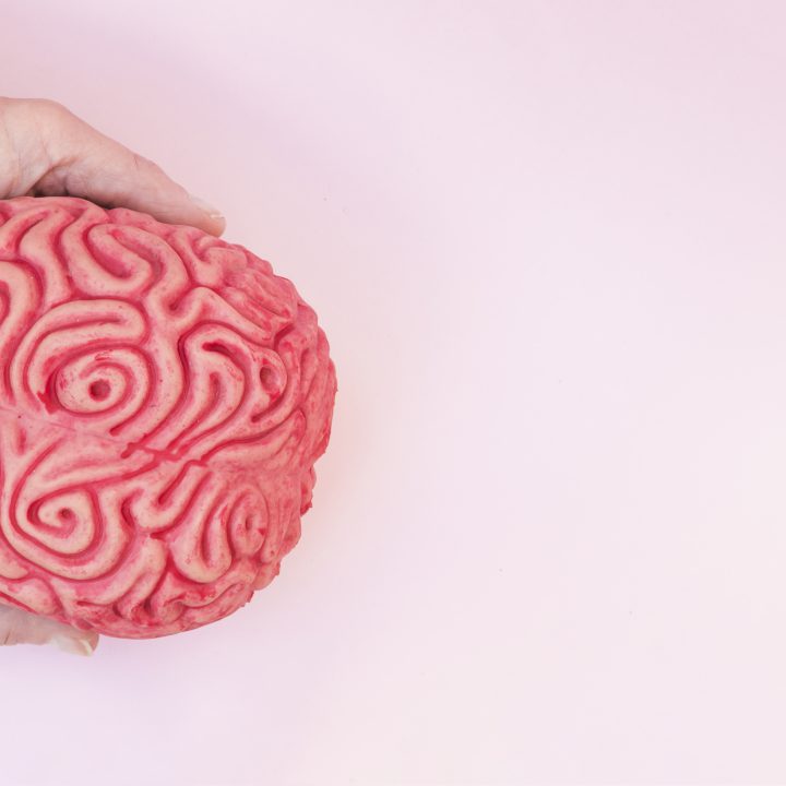 Gemeinsam gegen Glioblastom: Mit Information und Vernetzung zu mehr Verständnis