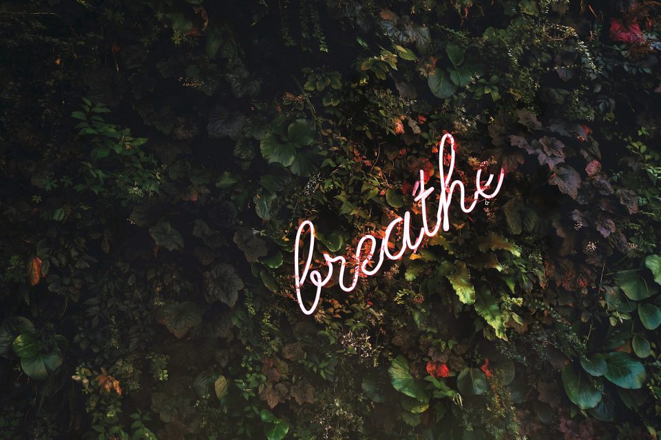 Neonschrift „breathe“ auf einer bewachsenen Wand.
