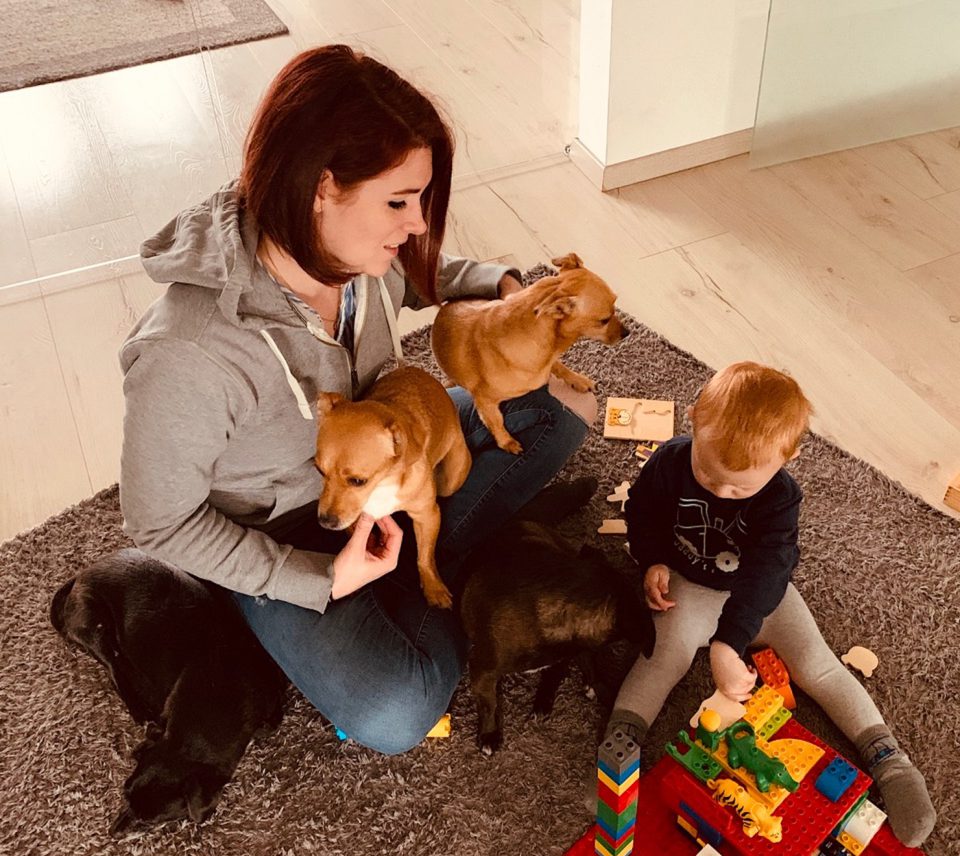 Frau mit Hunden und Kind sitzt am Boden und spielt.