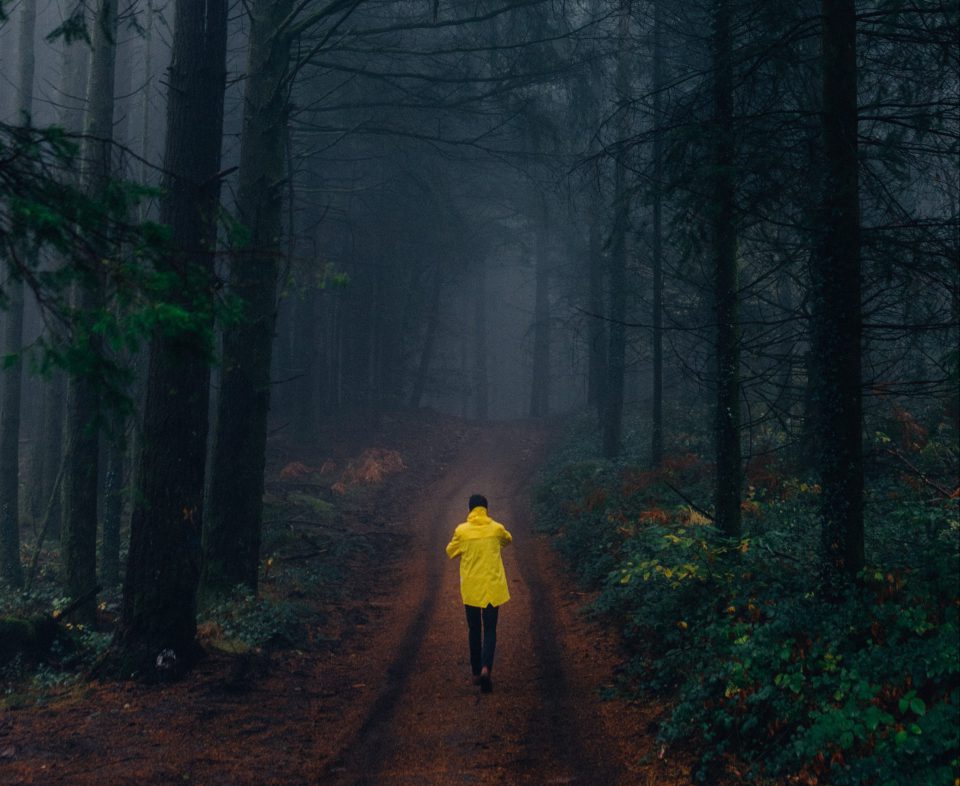 Kopftimismus Dunkler Wald Mann Gelber Regenmantel Pexels Louis 