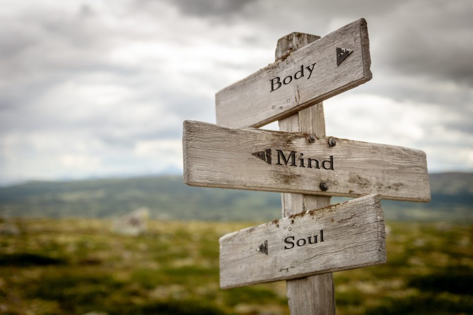 Body Mind Soul Text Engraved On Old Wooden Signpost Outdoors In Nature Quotes, Words And Illustration Concept 
