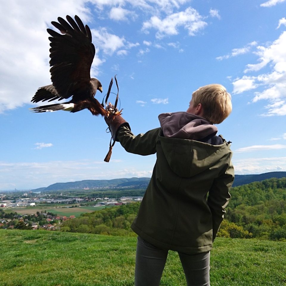 Falknerin mit Adler, der auf ihrer Hand landet.
