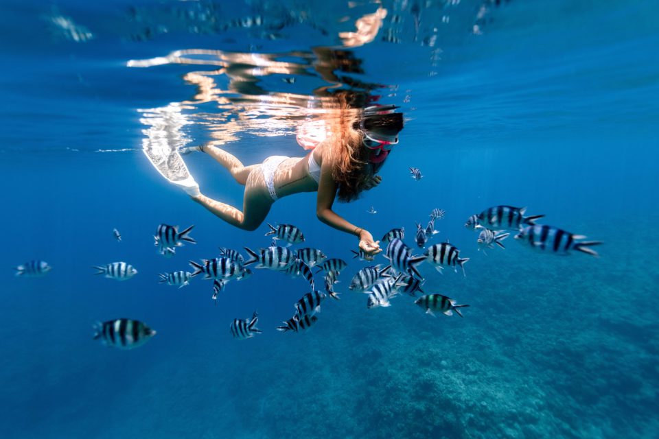 Unterwasseraufnahme einer Frau in weißem Bikini mit Taucherbrille und Flossen, die im Meer die Hand nach einem Schwarm schwarzweiß-gestreifter Fische ausstreckt.
