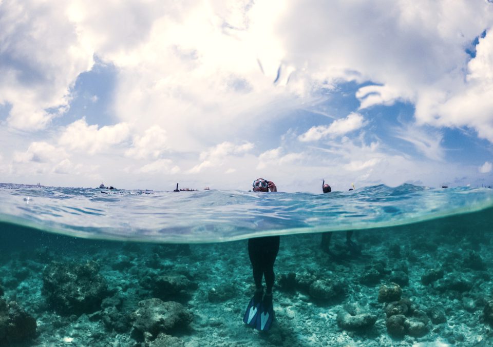 Ein Mensch in Tauchanzug direkt an der Wasserkante, oberhalb der Kopf mit Taucherbrille, unter Wasser Rumpf, Beine und Flossen, stehend auf dem mit Steinen übersäten Meeresboden.