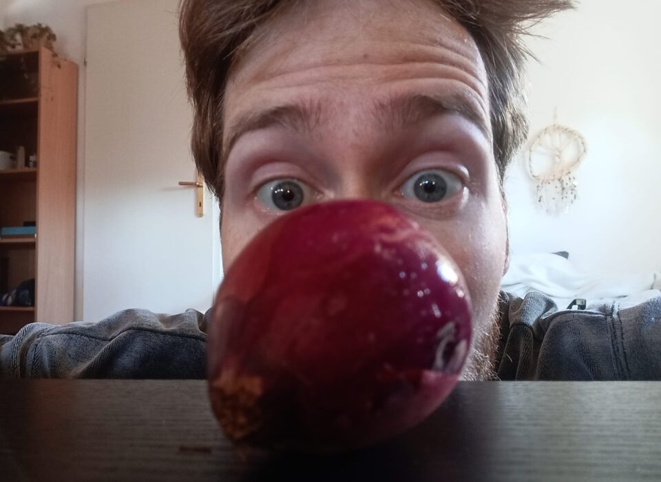 L’onion – Vielschichtigkeit par excellance L’onion – Vielschichtigkeit par excellance