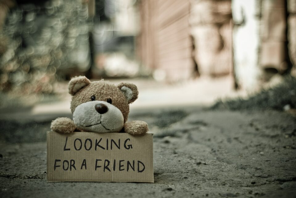 einsamer Teddy Teddybär halt Schild, auf dem steht: