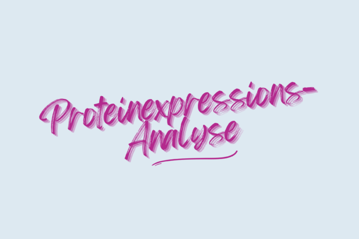 Proteinexpressions-Analyse