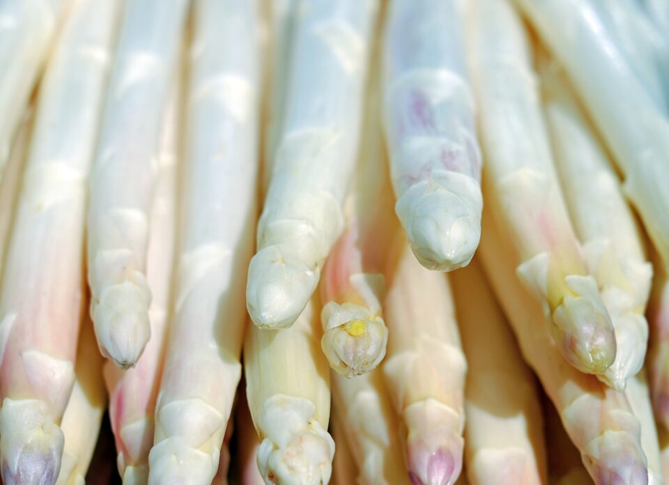 weißer Spargel