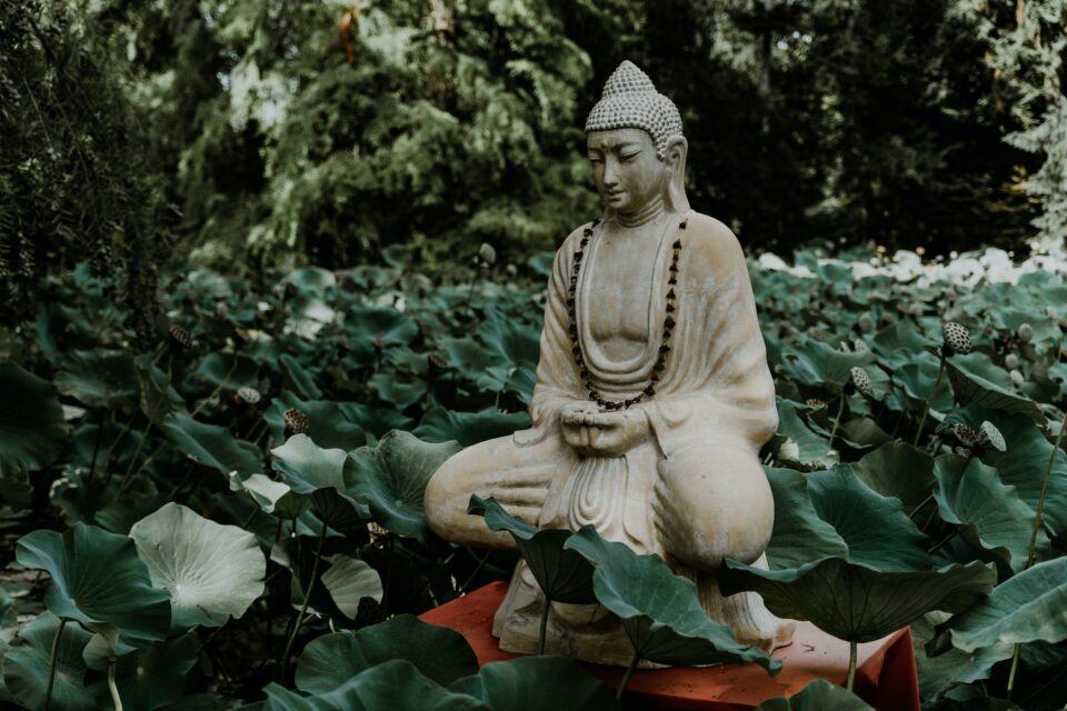 Buddha Statue zwischen Pflanzen
