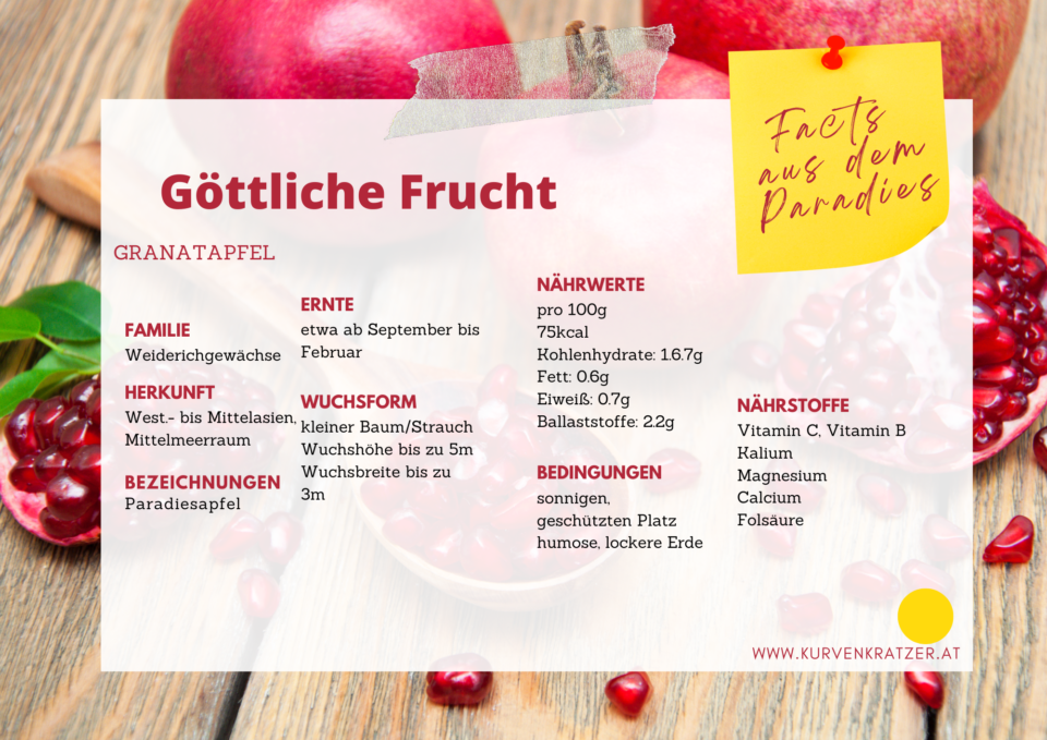 Granatapfel Superfood Infos Granatapfel Superfood Infos