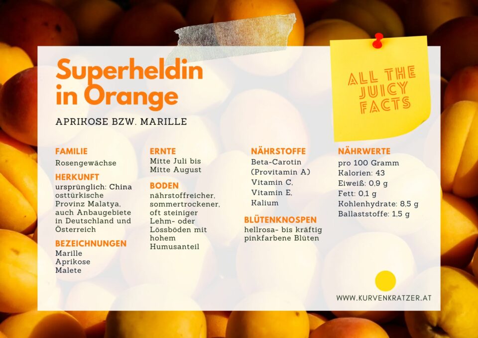 Marille Superfood Infos 