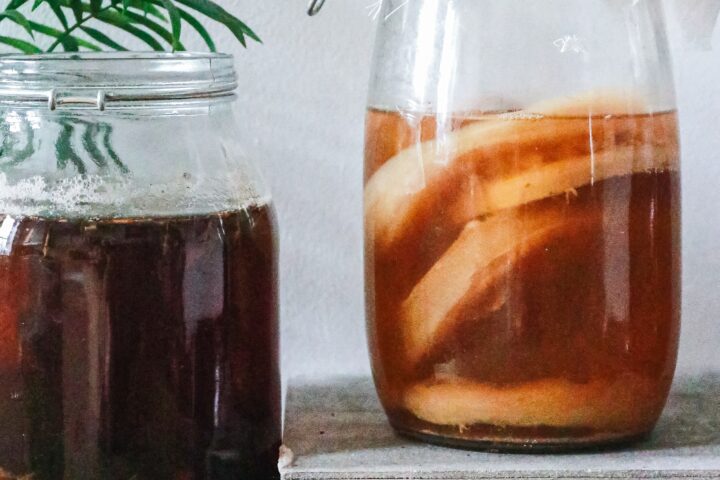 SCOBY-Doo und die Legende von Kombucha