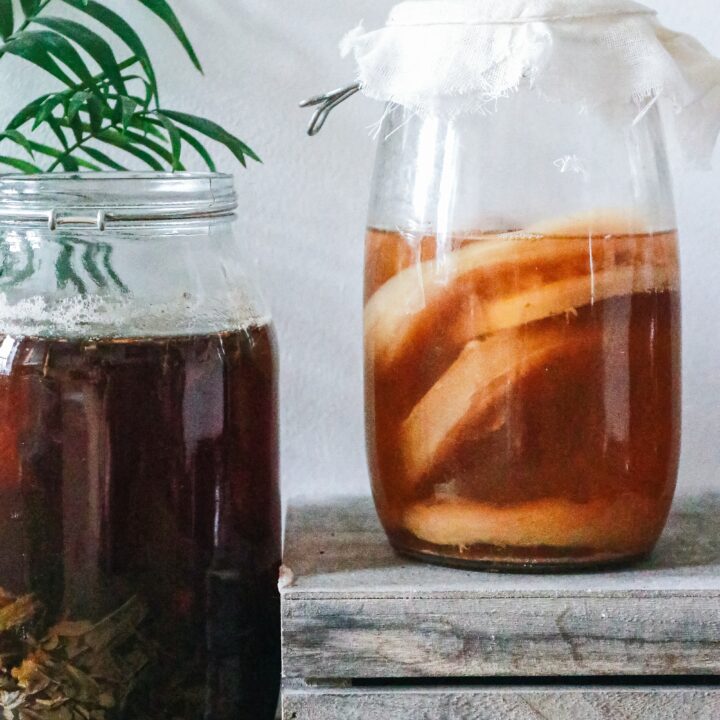 SCOBY-Doo und die Legende von Kombucha