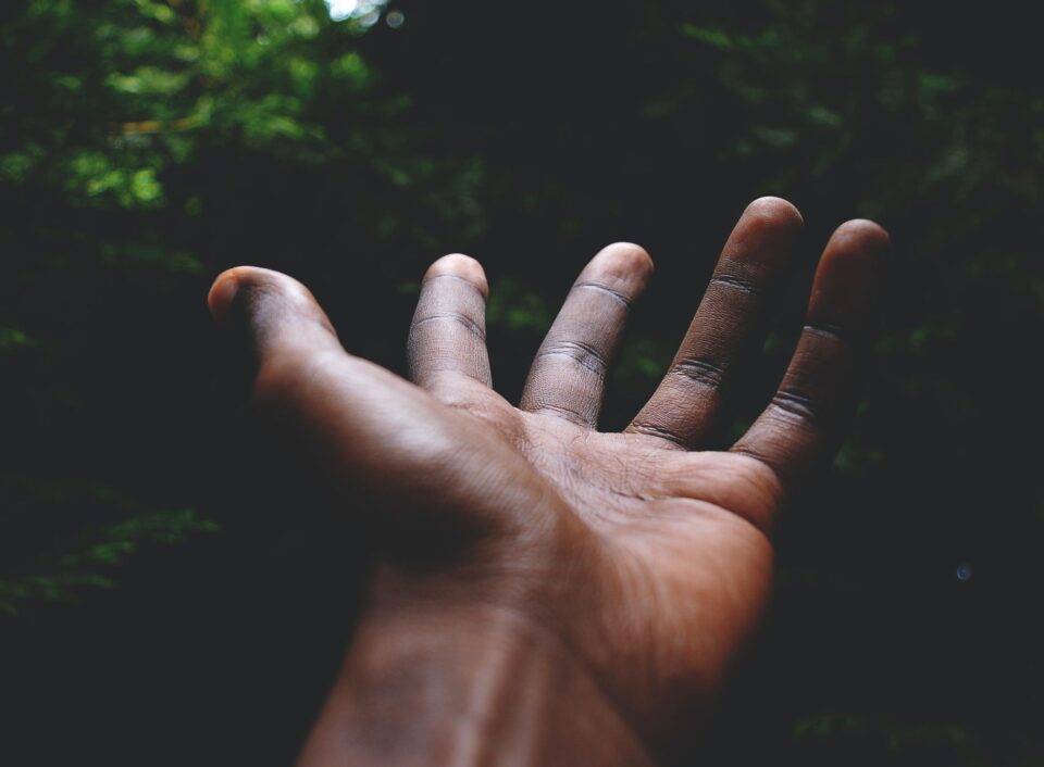 Hand Hand, die sich nach der Natur ausstreckt.