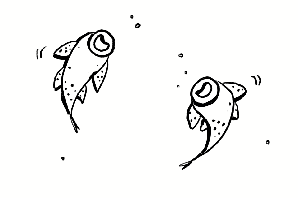 Putzerfische sind eine unterbewertete Quelle der Inspiration. (Illustration: Lena Kalinka) Zeichnung schwarz weiß 2 Putzerfische