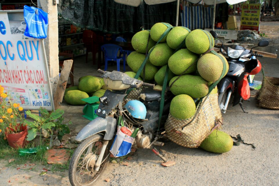 Motorad überladen mit Melonen oder ähnlichen früchten