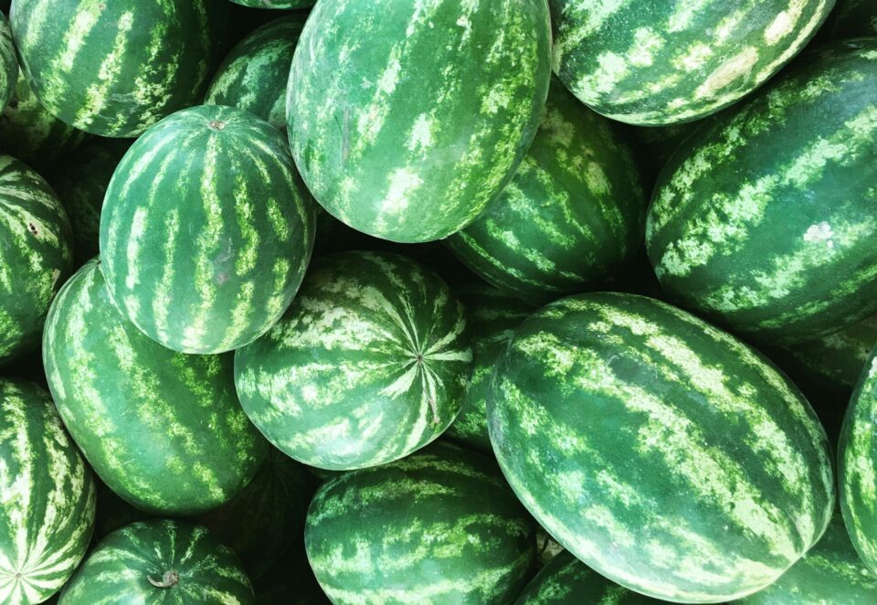 Wassermelonen