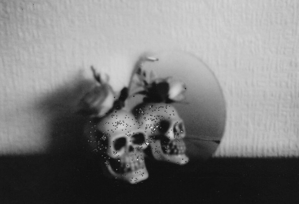 Totenkopf vor Spiegel als Polaroid