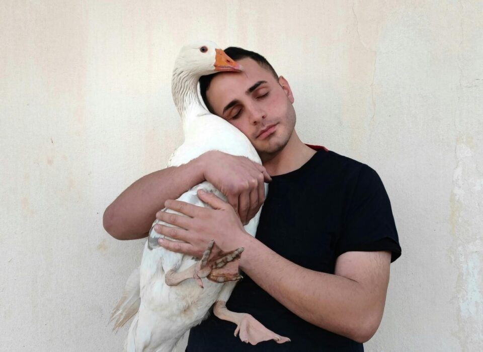 X Mas Pexels Mehmet Levent 