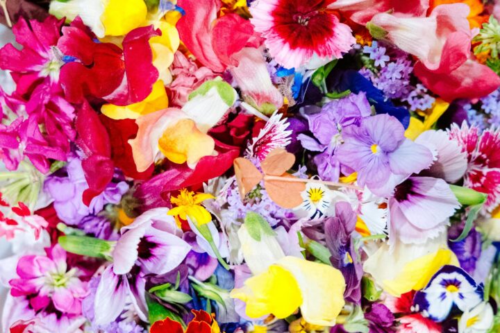 Gemeinsam einzigartig: Krebsprojekte unserer Community