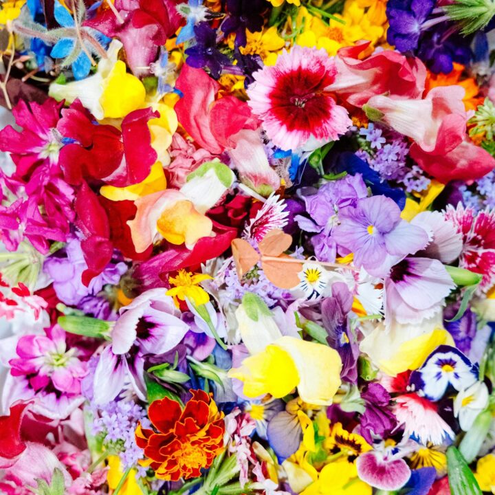 Gemeinsam einzigartig: Krebsprojekte unserer Community