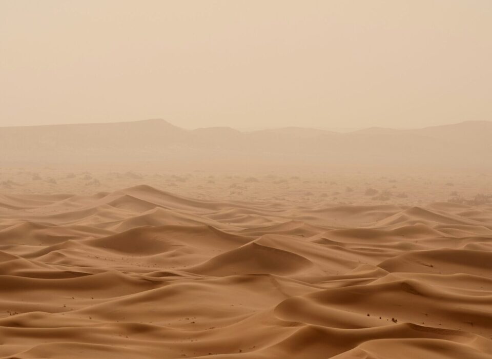 Sandwüste in brauntönen